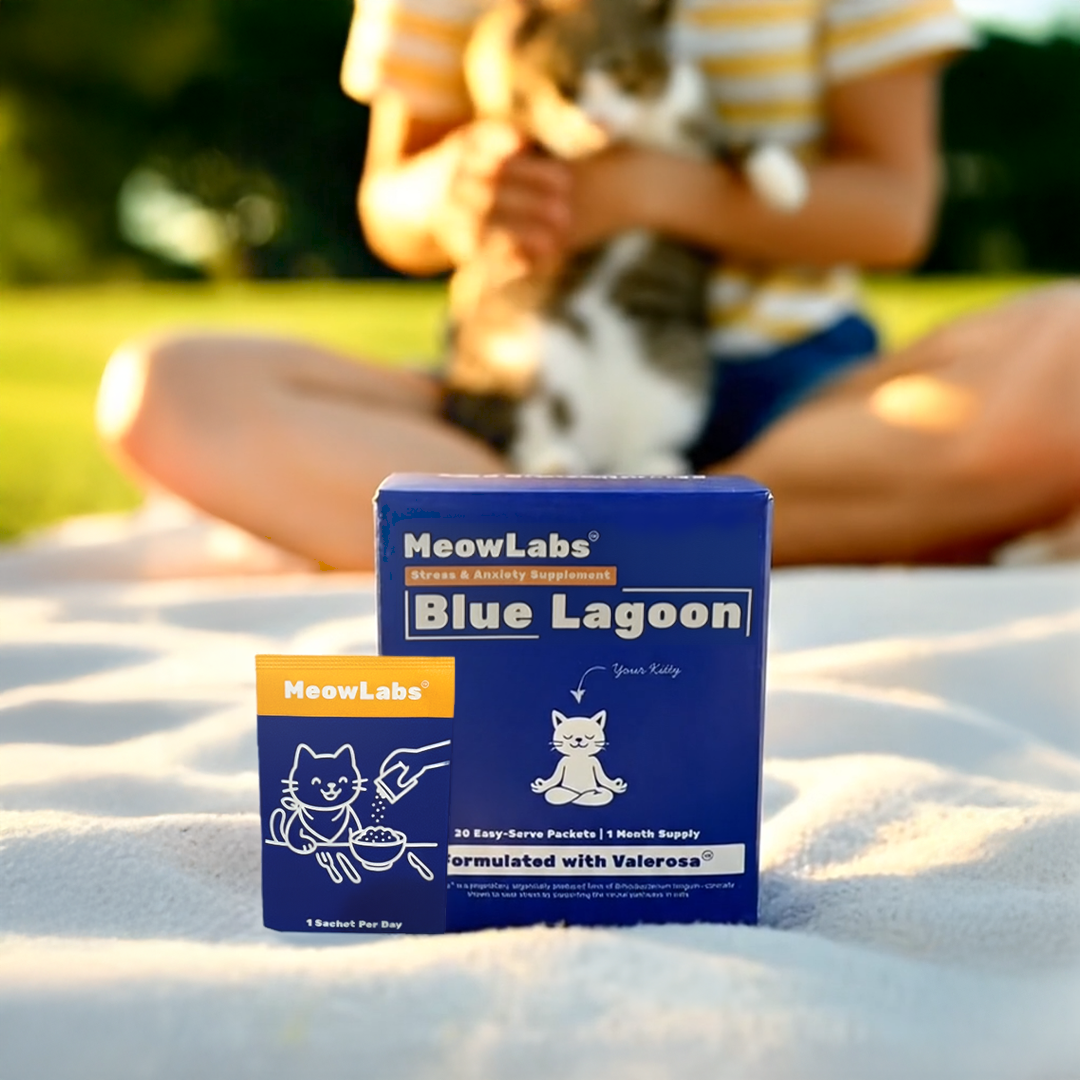 Blue Lagoon By MeowLabs™