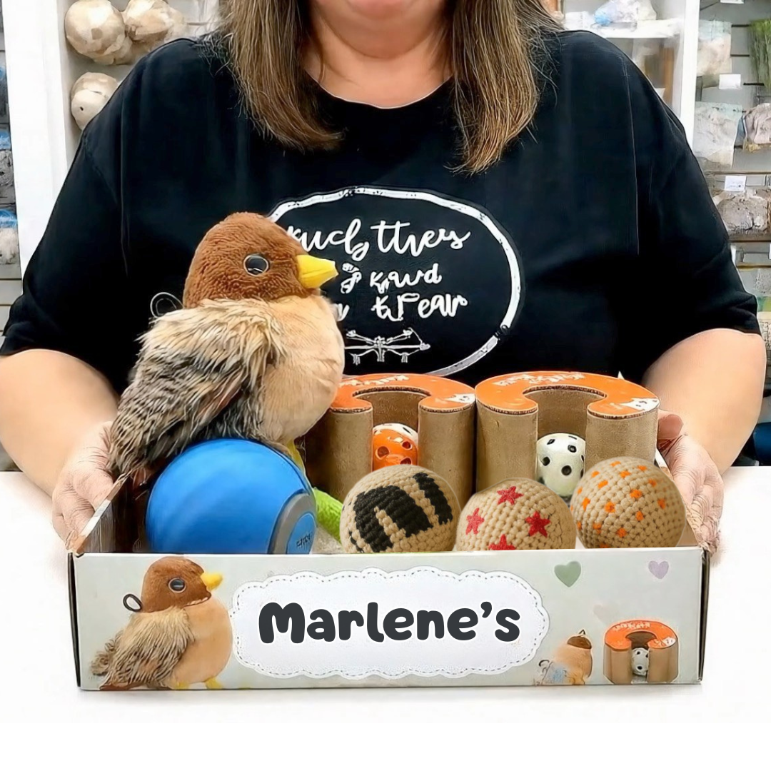 Kitty Kurlz Value Bundle