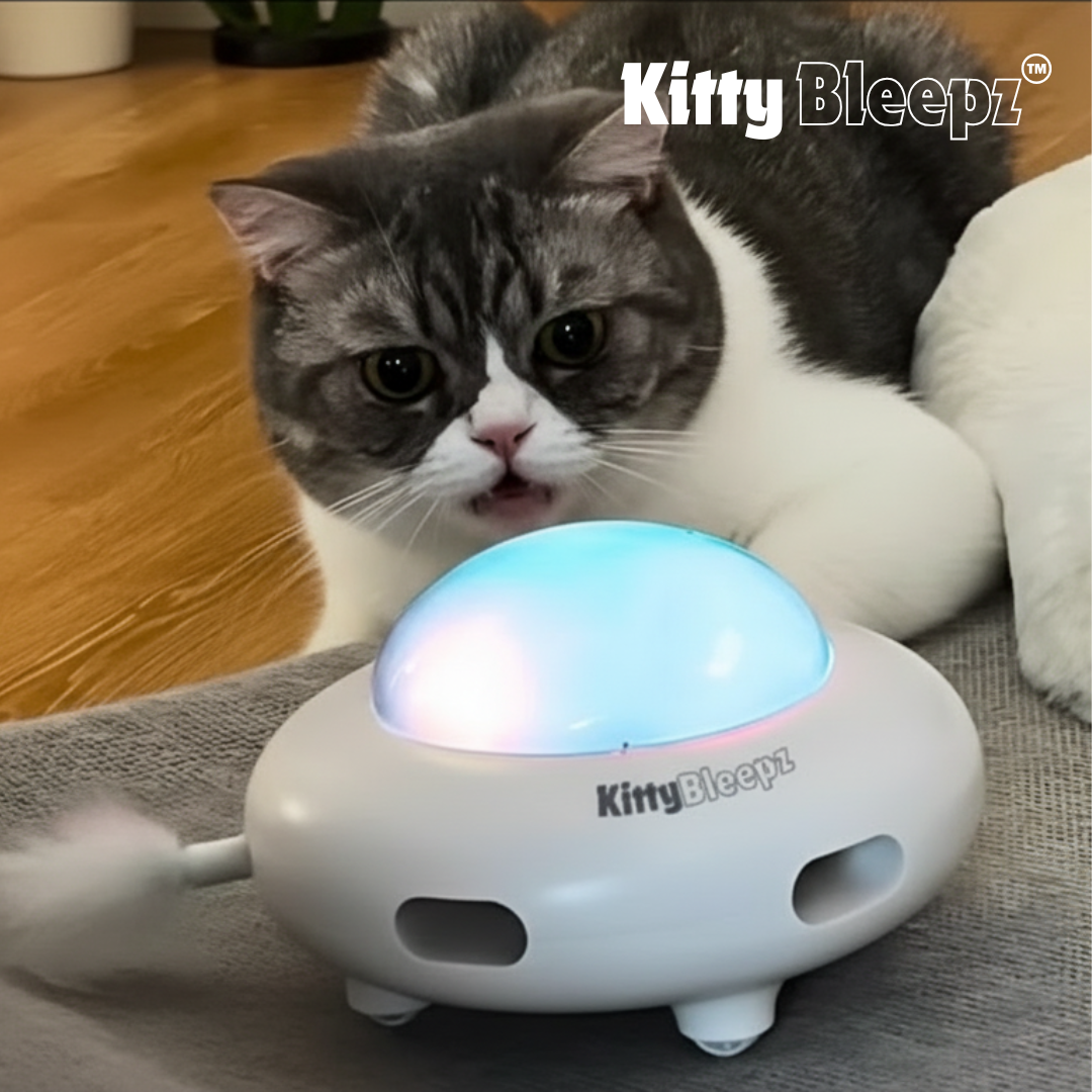 Kitty Bleepz™