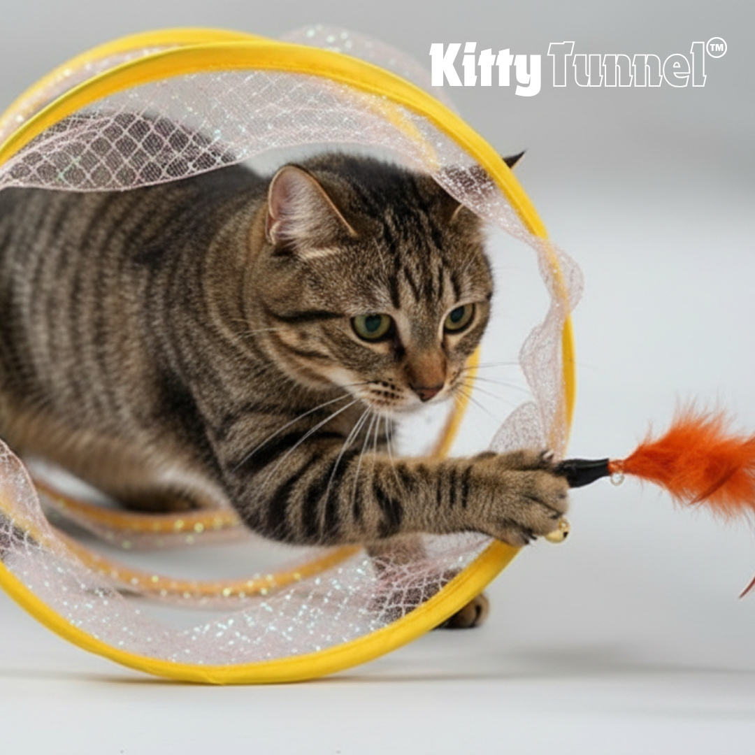 Kitty Tunnel™