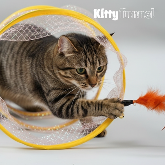 Kitty Tunnel